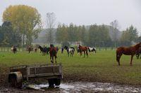 Herfstwandeling 20161023 23