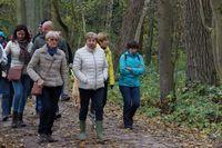 Herfstwandeling 20161023 59