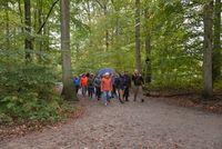 Herfstwandeling 2019 10 20 17