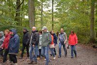 Herfstwandeling 2019 10 20 20