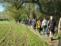 Herfstwandeling #1 2021 10 24 31