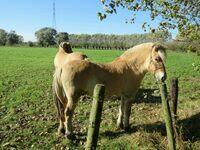 Herfstwandeling #1 2021 10 24 38