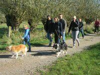 Herfstwandeling #1 2021 10 24 40